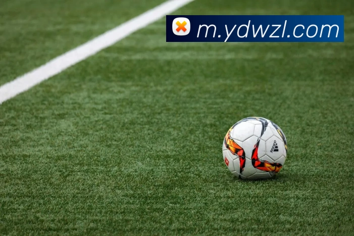 尊龙凯时品牌故事